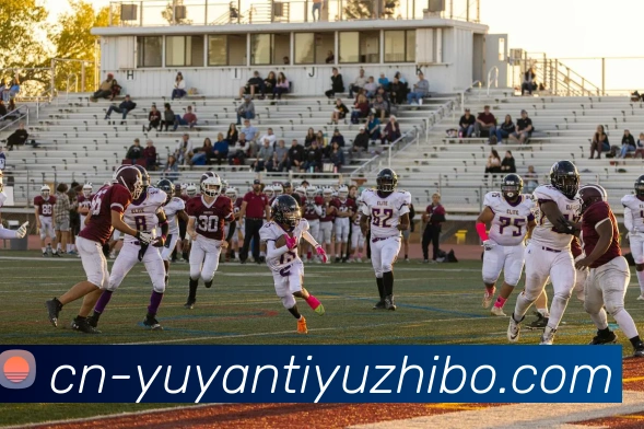 App Interface Preview