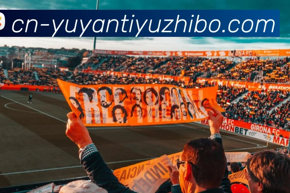 雨燕体育直播APP 封面图